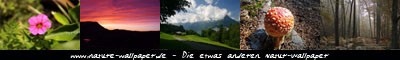 Wir bieten jede Menge Natur-Wallpaper in den Bereichen Gebirge/Winter, Blumen, Sonne/Wolken, Landschaften und Tiere an.